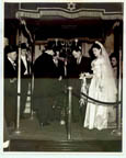Wedding Pictures